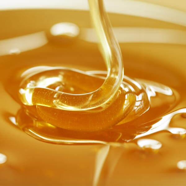 Herbs Guide Honey-tile