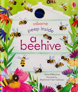 Peep inside a beehive